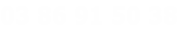 03 86 91 50 38
